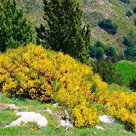 Naturaleza Y Aire Puro En El Pirineo Oriental En Bonita De Piedra Holiday home Prats-de-Mollo-la-Preste